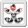 KIT NUMERAIS CRF 250 08